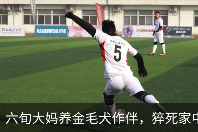 六旬大妈养金毛犬作伴，猝死家中10天，警方破门后将狗送去安乐死