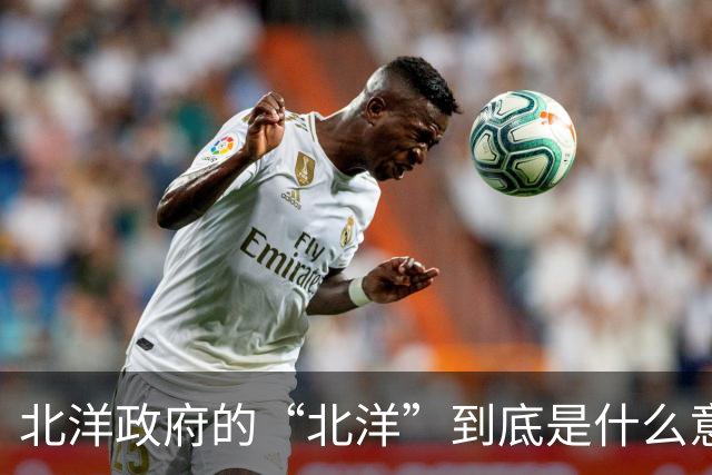 北洋政府的“北洋”到底是什么意思？不是北方洋人的意思