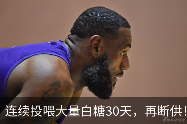 连续投喂大量白糖30天，再断供！国外网红扮“蚂蚁天神”整蛊野生蚁群