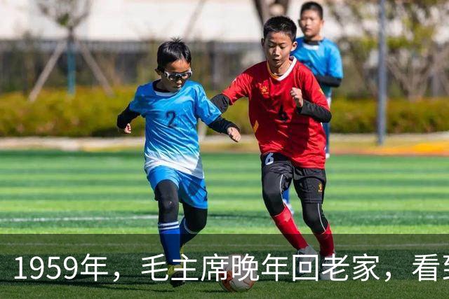 1959年，毛主席晚年回老家，看到杨开慧照片，决定见贺子珍一面